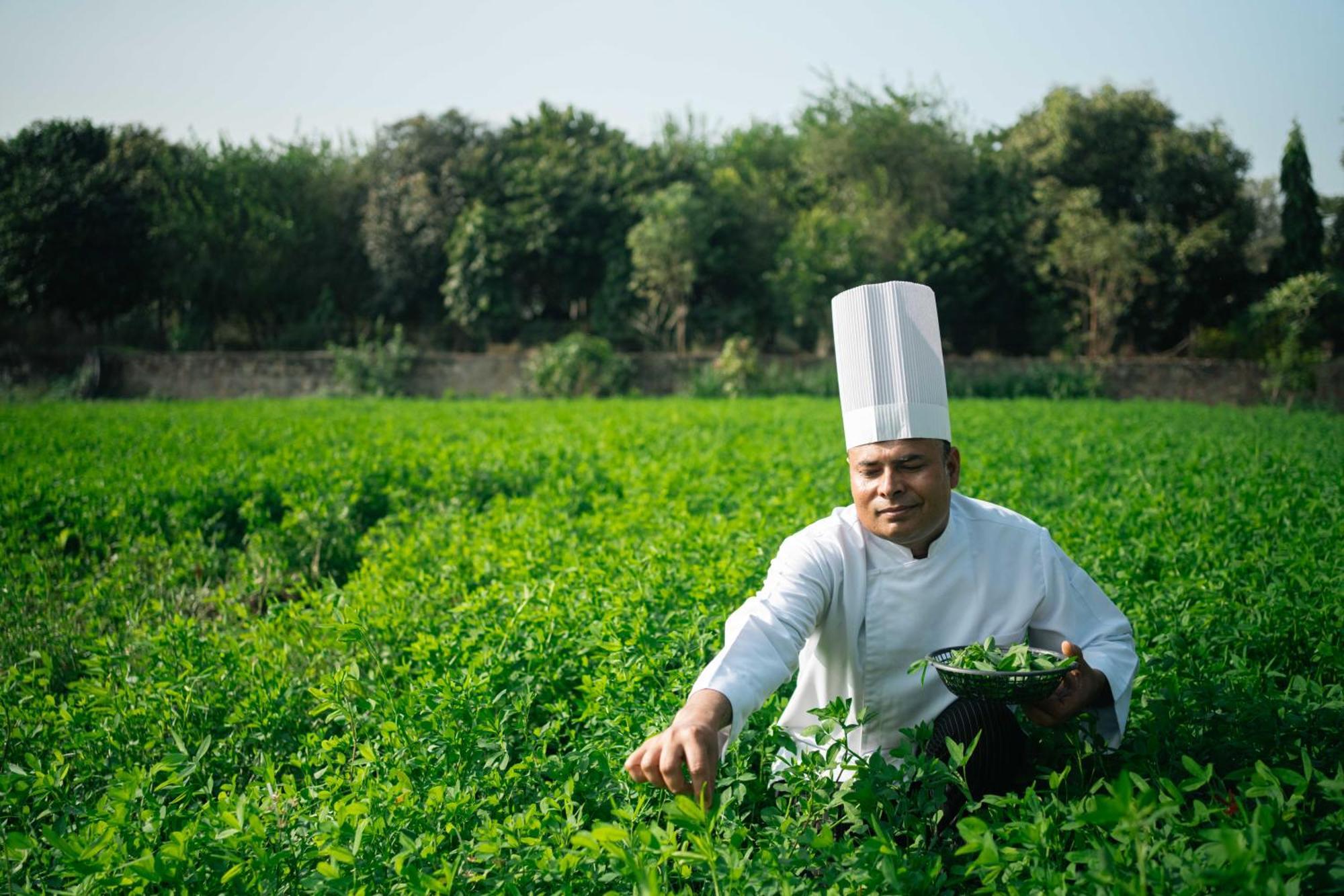 Abhyaran Resort&Spa Ranthambore Sawai Madhopur Bagian luar foto