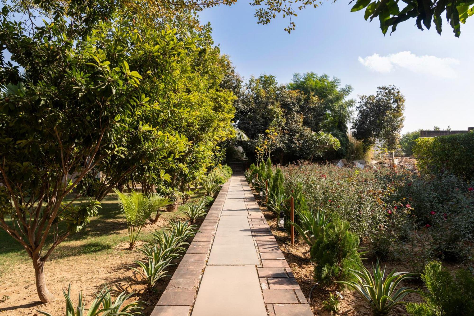 Abhyaran Resort&Spa Ranthambore Sawai Madhopur Bagian luar foto
